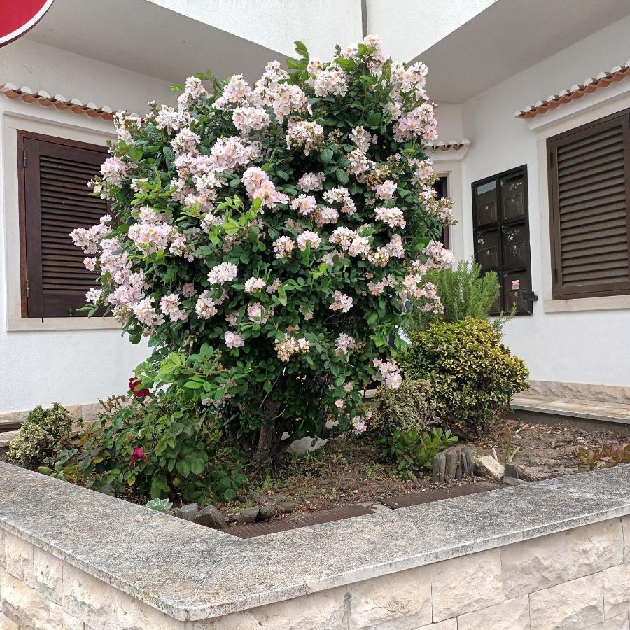 Apartament A Casa na Foz Foz do Arelho Zewnętrze zdjęcie