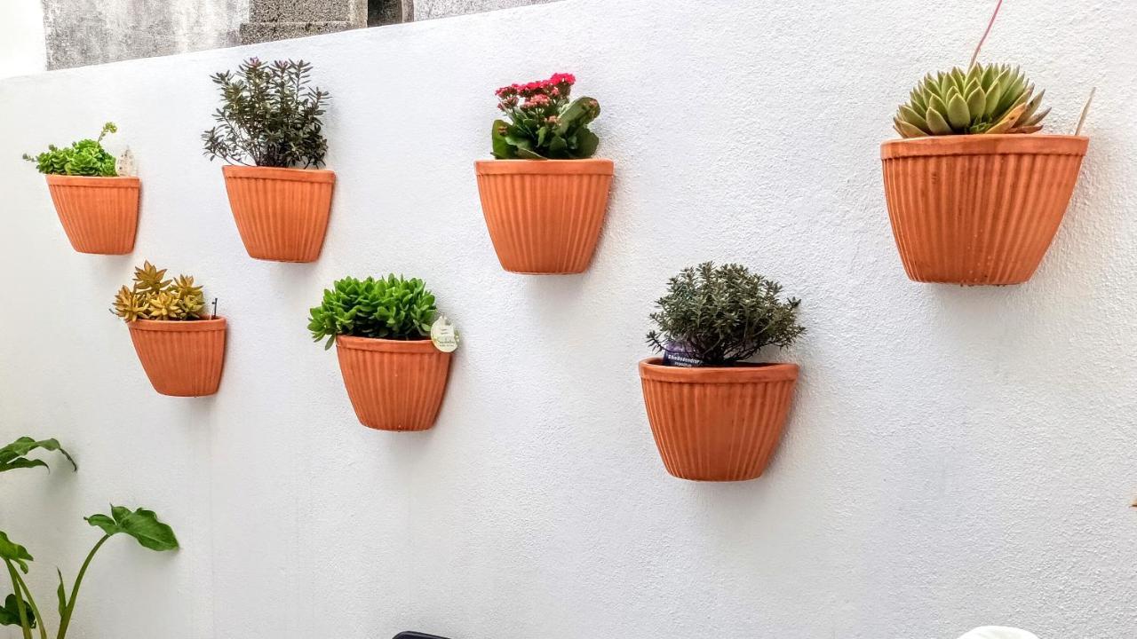 Apartament A Casa na Foz Foz do Arelho Zewnętrze zdjęcie